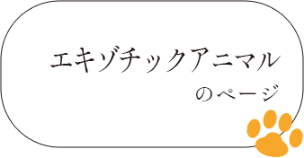 エキゾチックアニマルのページ